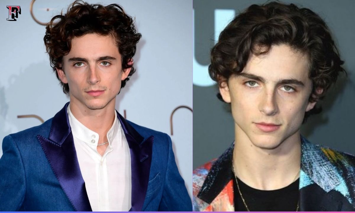 Timothee Chalamet Height And Weight Exploring the Real Stats