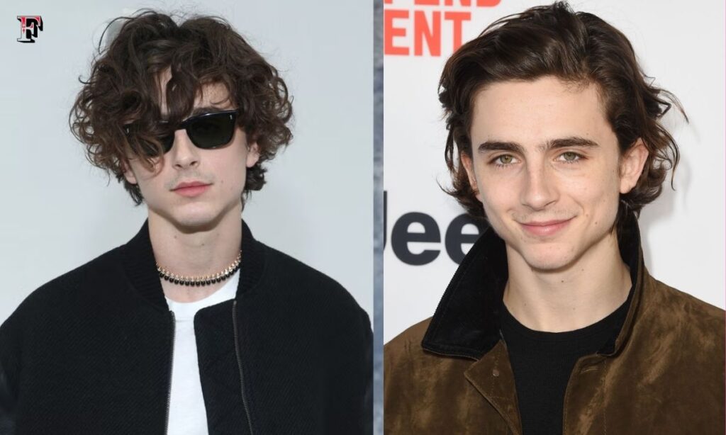 Timothee Chalamet’s Comparative Analysis